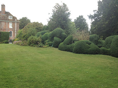 Hedge maintenance