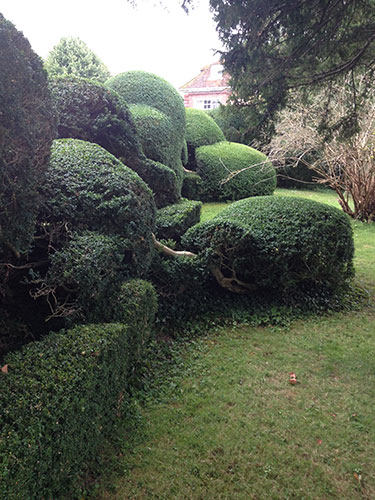 Hedge maintenance