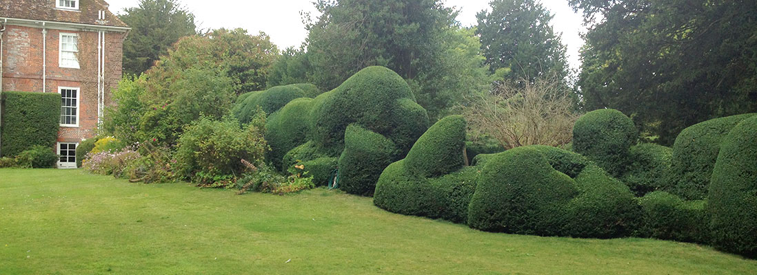 Hedge maintenance Hampshire