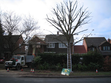 Crown reduction