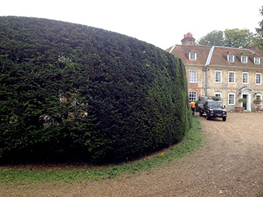 Hedge maintenance